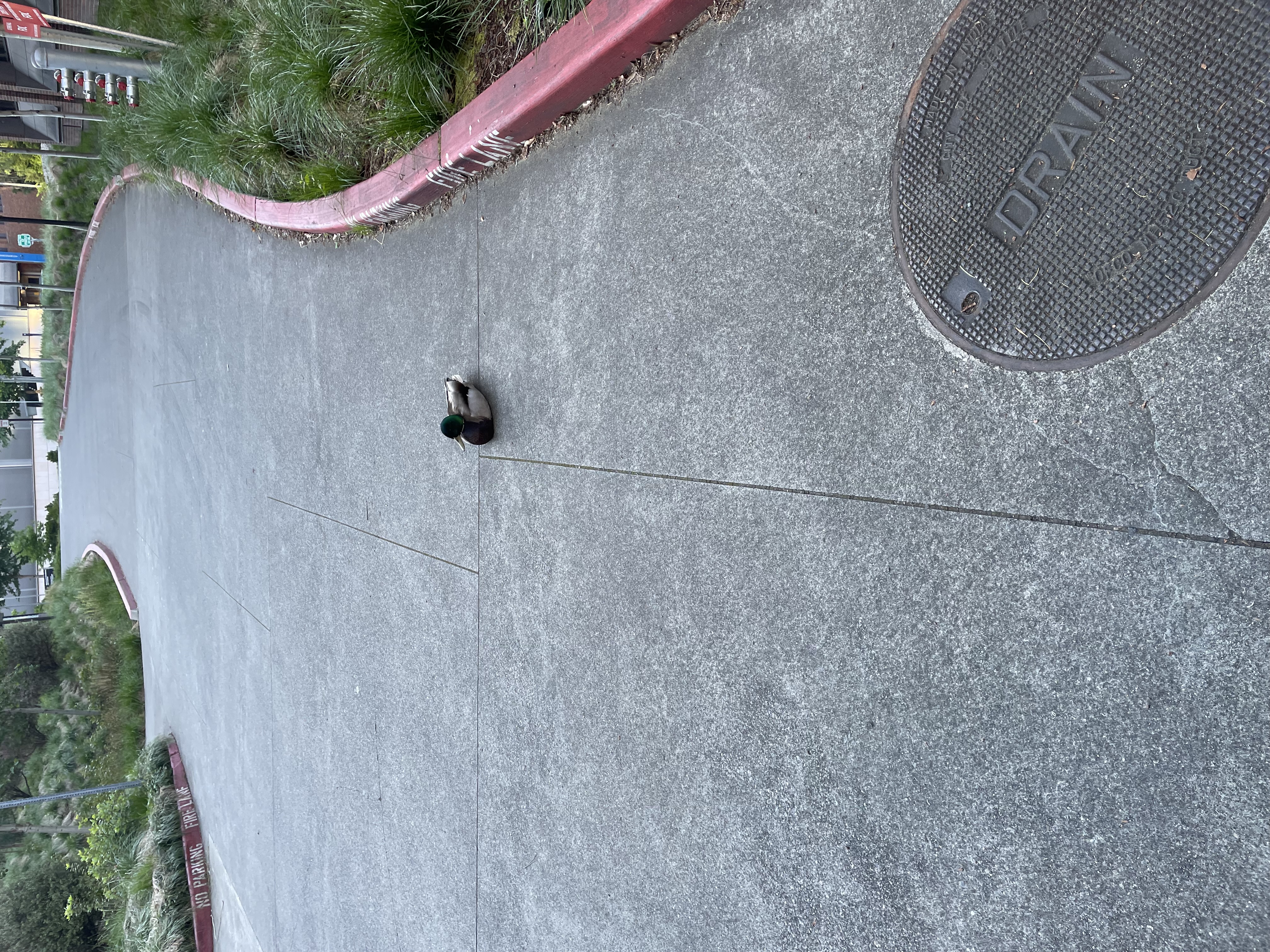 Project 2 Image 1